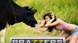 Brazzers online porno TV